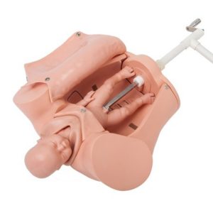 Advance Childbirth Skill Training Model AR-5B ARI