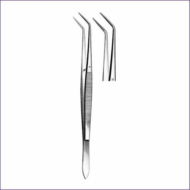 Customized Dental College Tweezer Stainless Steel Cheap Price Dentist Instruments Dental Disposable Tweezer