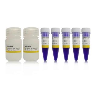 High Efficient chemical laboratories reagents Triumfi Mouse Tissue Direct PCR Kit For PCR Amplification Of Genomic DNA