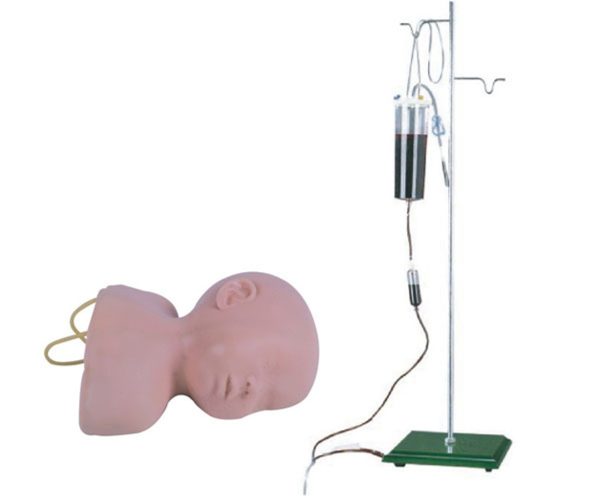 Infant Scalp Venipuncture Training Model AR-G1 ARI