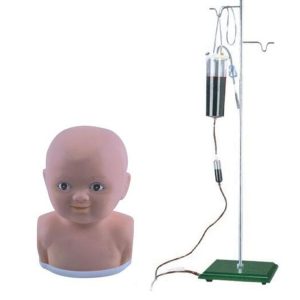 Child Scalp Venipuncture Training Model AR-G2 ARI