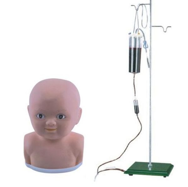 Child Scalp Venipuncture Training Model AR-G2 ARI