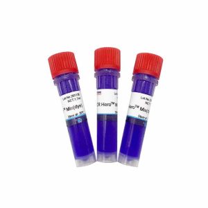 Master mix PCR Hero (With Dye)  Extraction kits lab reagents pcr master mix in stock& ready to ship