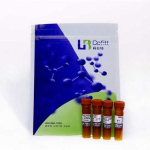 Low Price Guaranteed Quality LBQ7502-01 Cofittgreen Cofittgreen Nucleic Acid Gel Stain