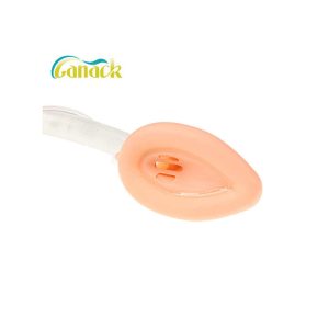 China Health Equipment Other Medical Consumables Body Health Tool Intubated Silicone Laryngeal Mask Airway
