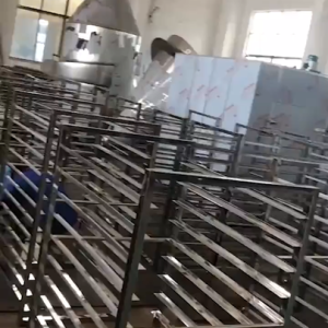 Top-Quality GMP-Certified Dates Drying Machine with Hot Air Circulation Dehydrator Oven