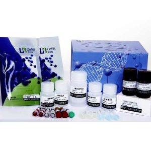 Cheap Hot Sale Quality Speedy PAGE Kit(10-250 Kda) Cofitt Chemical Reagents