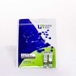 Economical Custom Design Low Temperature Transportation D2000/5000 Dna Marker Eagents Chemical Reagents