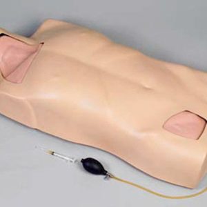 Full-function Central Venous Injection Torso Model AR-L68A ARI