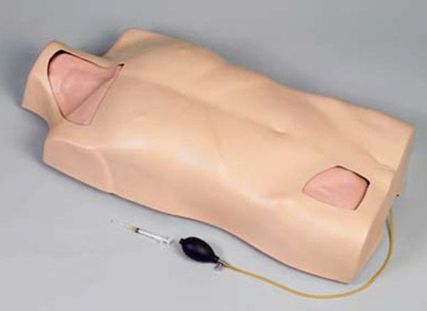 Full-function Central Venous Injection Torso Model AR-L68A ARI