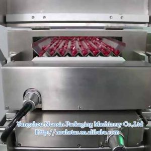 GS-12 Pharmaceutical Medical Candy Pill Tablet Bottle Filling Equipment Counter Machine