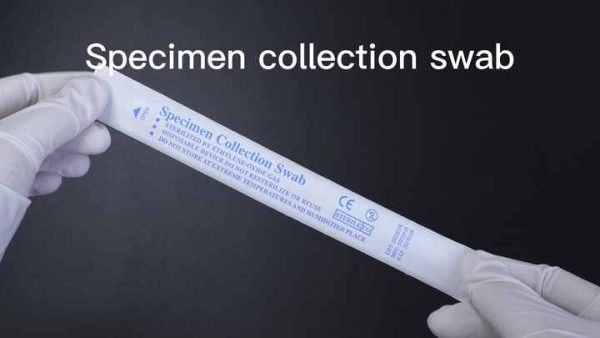 Medical consumable collection swab buccal swabs gamma-irradiation sterilization sampling swab for antigen rapid test