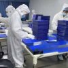 For CT CR DR MRI etc medical digital photo output thermal dry film drypix 3500 or dt2b chip