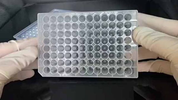 Disposable Consumables Round Hole Lab Supplies 1.2ml U-bottom Polypropylene Plastic 96 Deep Well Deep 96 Plate 96