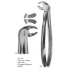Professional High Quality Tooth Extracting Forceps Dental Extraction Forceps High Quality Stainless Steel