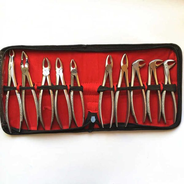 Wholesale Dental Extracting Forceps Children Dental Forceps Reusable Quality Made in Pakistan