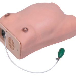 Maternity Examination Model AR-W ARI
