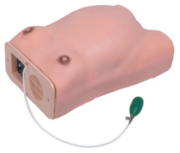 Maternity Examination Model AR-W ARI