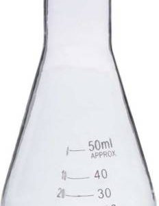 the first lab Erlenmeyer Flask  (50 ml, Pack of 2)