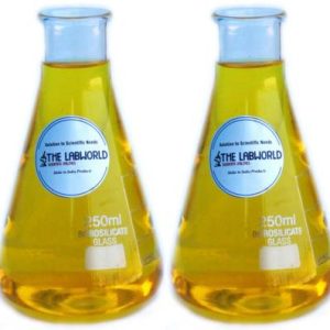 THE LABWORLD Erlenmeyer Flask  (250 ml, Pack of 2)