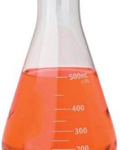 THE LABWORLD Erlenmeyer Flask  (500 ml, Pack of 1)