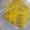 Livestock Ear Tag (For Cattle Pigs and Goats) – Identification Tool