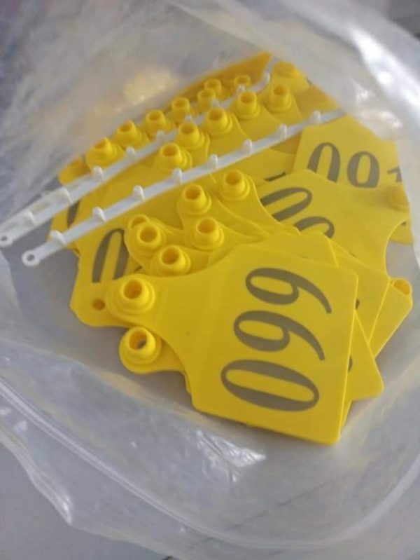 Livestock Ear Tag (For Cattle Pigs and Goats) – Identification Tool