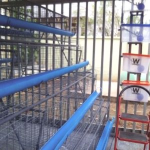WANDA 4 Tier Battery Cage with Local PVC Feeder [128 Birds]