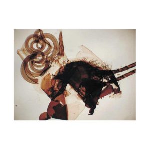 Insect Anatomy slide set of 9