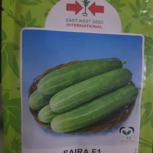 Saira F1 Cucumber Seeds (East West Seed | 10g)