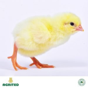 Agrited Broilers