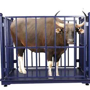 Cattle Weighing Scale (2000kg Capacity )