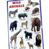 Charts Big Wild Animals