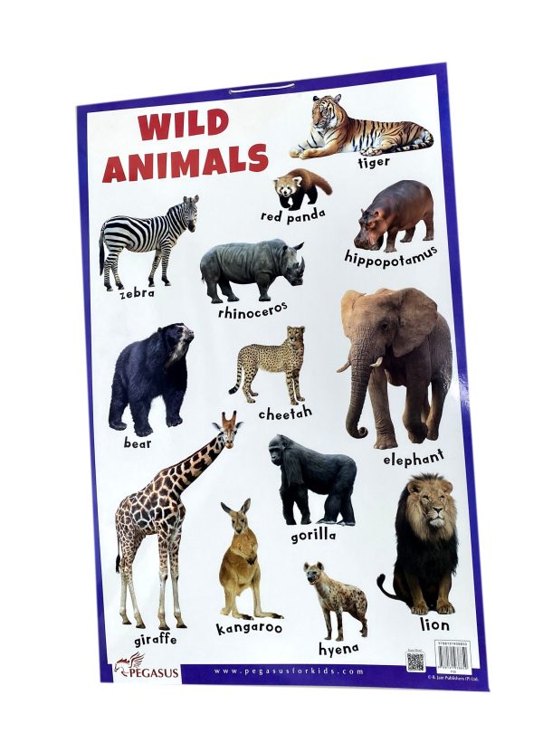 Charts Big Wild Animals