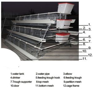 Imported Fully Galvanized Semi-Automatic Poultry Cage – (120 birds capacity battery cage with PVC feeder) (PROMO)