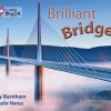 Collins Big Cat Brilliant Bridges