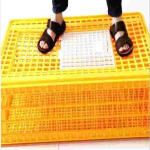 Poultry Transport Crate | Big Size