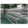 Imported Fully Galvanized Poultry Cage – 120 Capacity – 3 tiers Layer cage