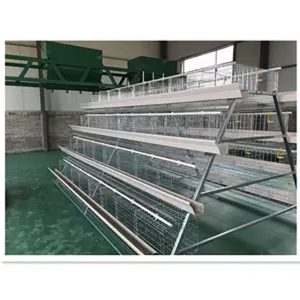 Imported Fully Galvanized Poultry Cage – 120 Capacity – 3 tiers Layer cage