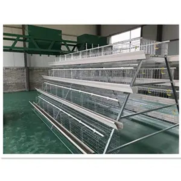 Imported Fully Galvanized Poultry Cage – 120 Capacity – 3 tiers Layer cage