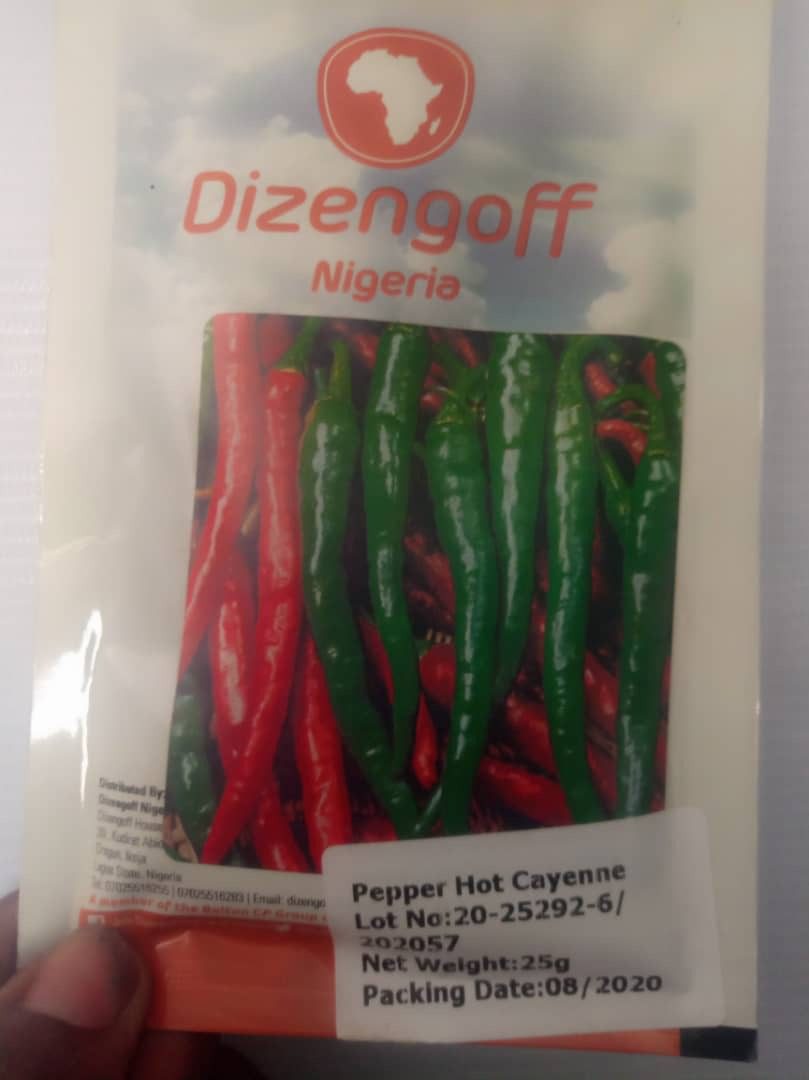 Buy Here Hot Cayenne Pepper 25g Allschoolabs Online