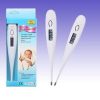 Digital Clinical thermometer