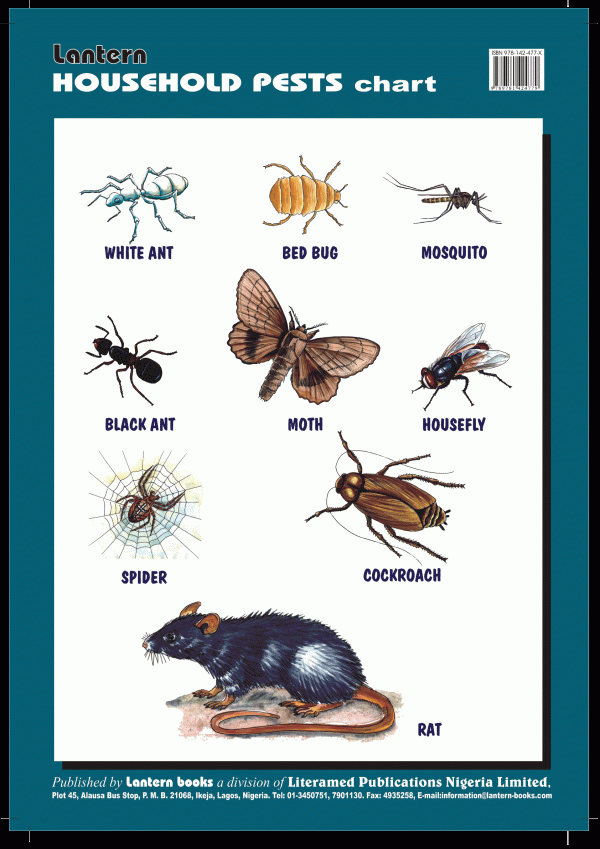 Wall Chart: Household Pests