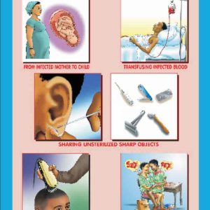 Wall Chart: How HIV is Spread