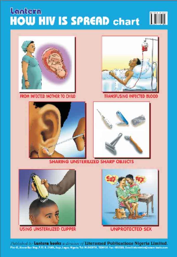 Wall Chart: How HIV is Spread