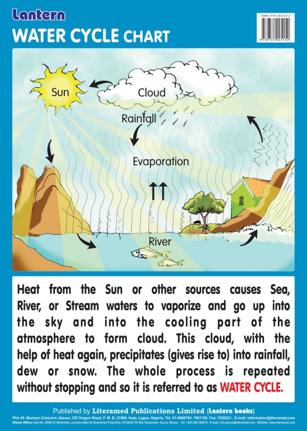 Wall Chart: Water Cycle