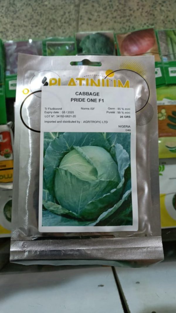 Pride One F1 Cabbage Seeds|5g