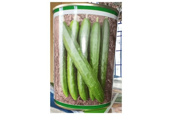 Cucumber Akito F1 (Hybrid)| 50g