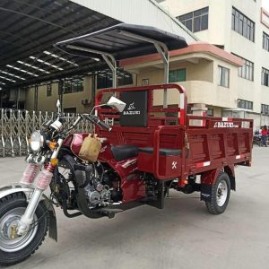 Bazuki Tricycle + Knapsacks + Plastic Planter (Combo)