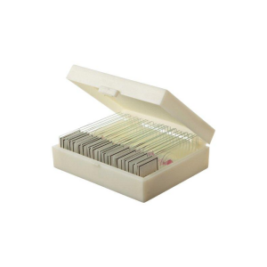 Human Histology slide set of 25
